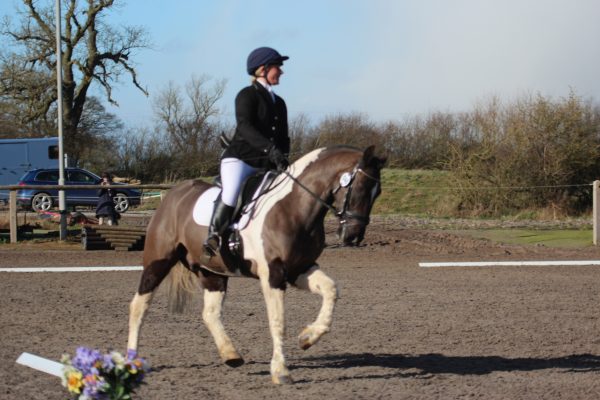 KRC Dressage - August 17th 2025