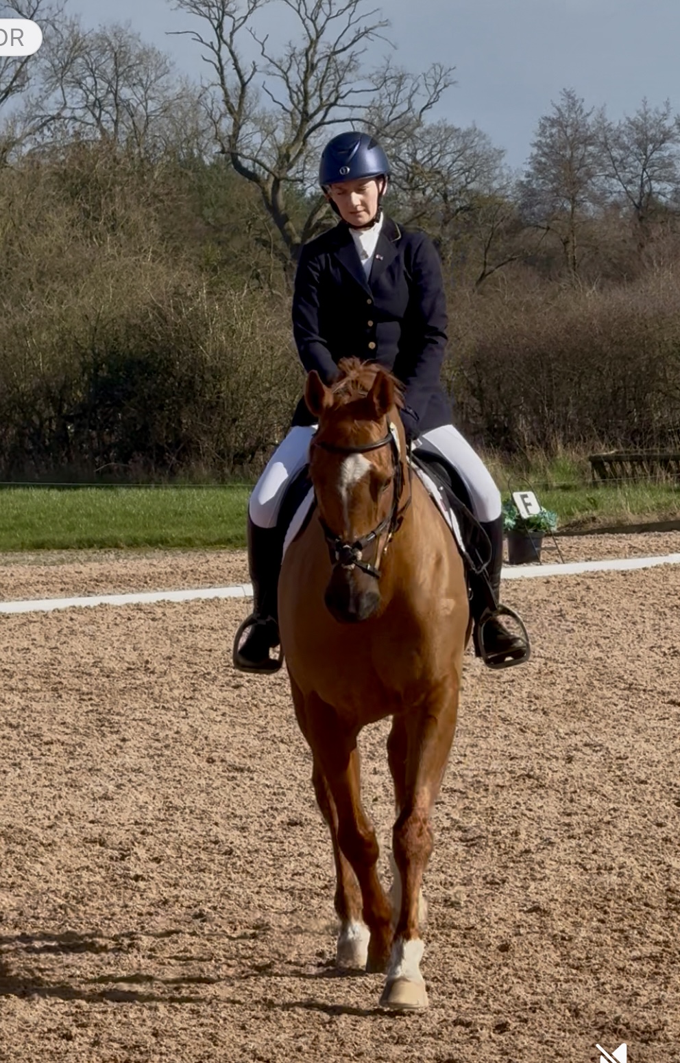 April 12th 2026 - Dressage & Combined Training